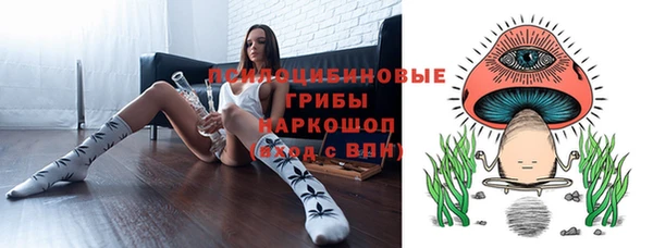 прущая мука Абаза